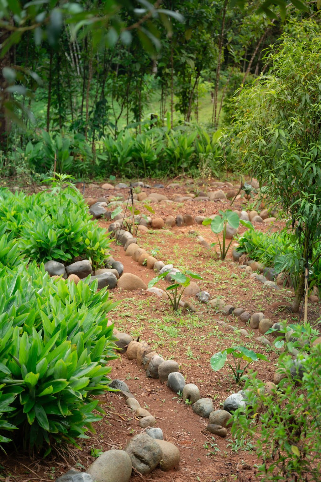 Luxury villa accommodation at Lion's Brain