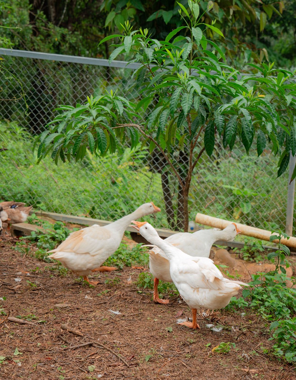 Private retreat house surrounded by nature