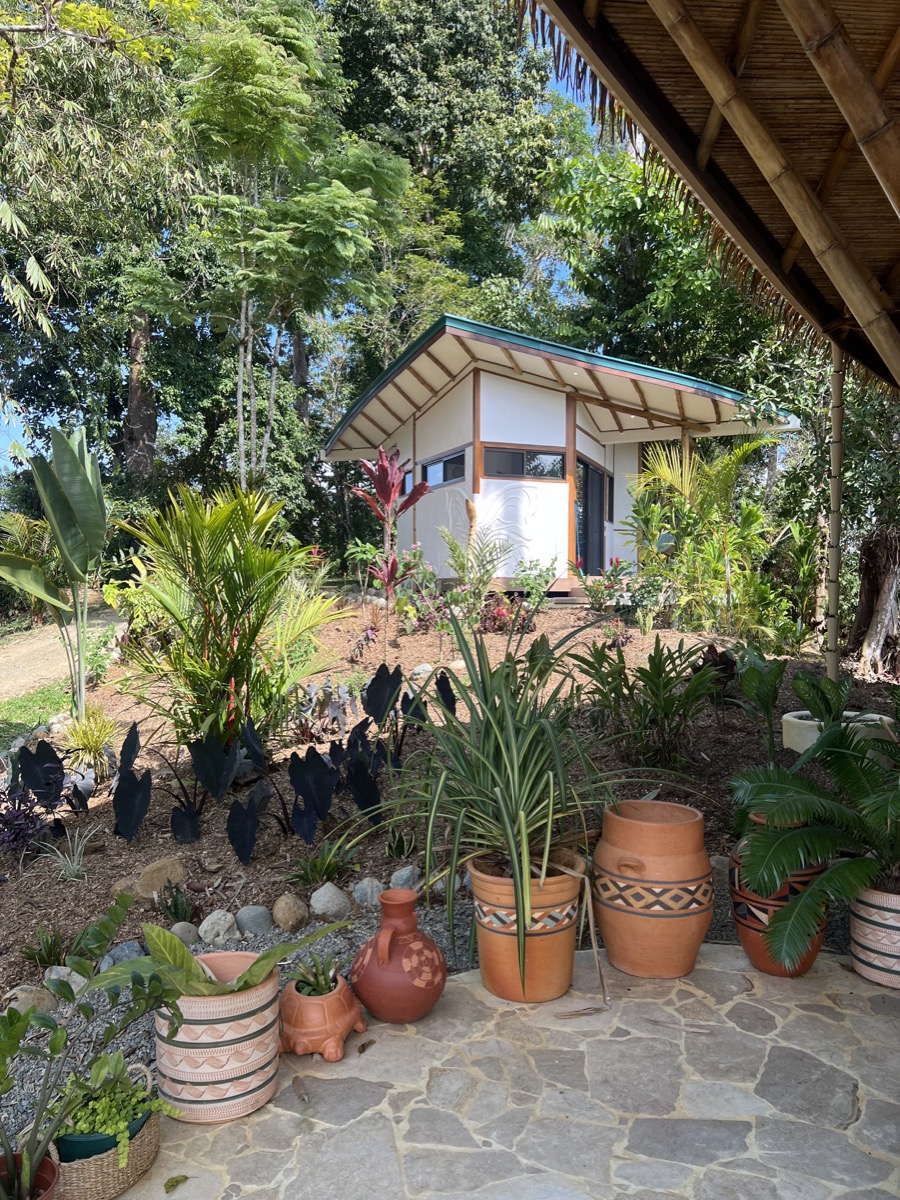 Lush tropical forest at Lion's Brain