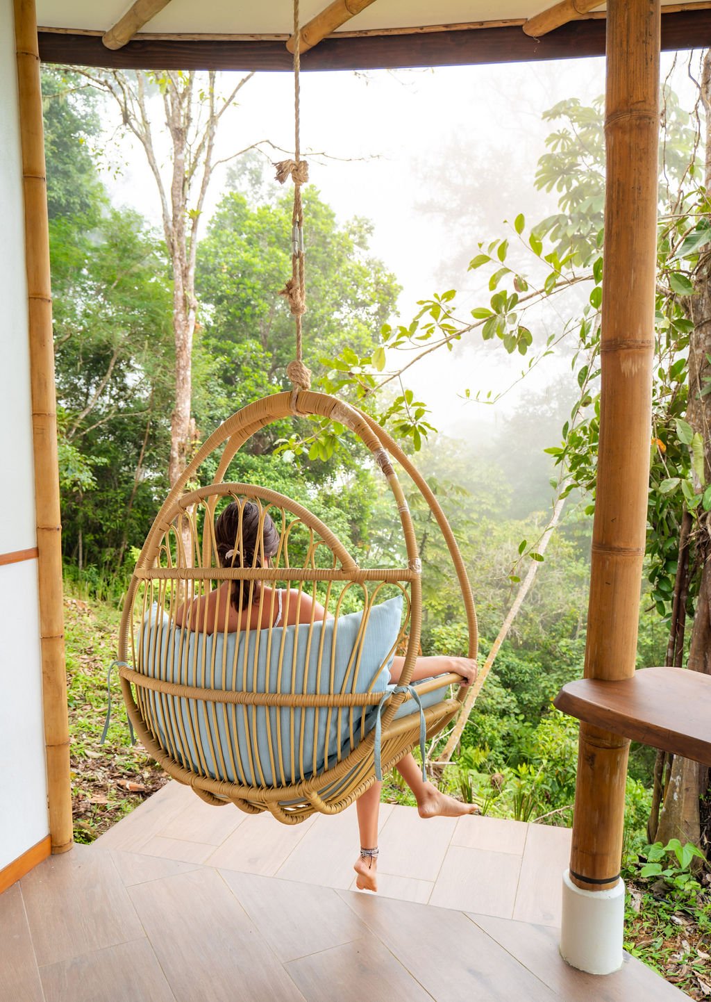 Lion's Brain property and grounds