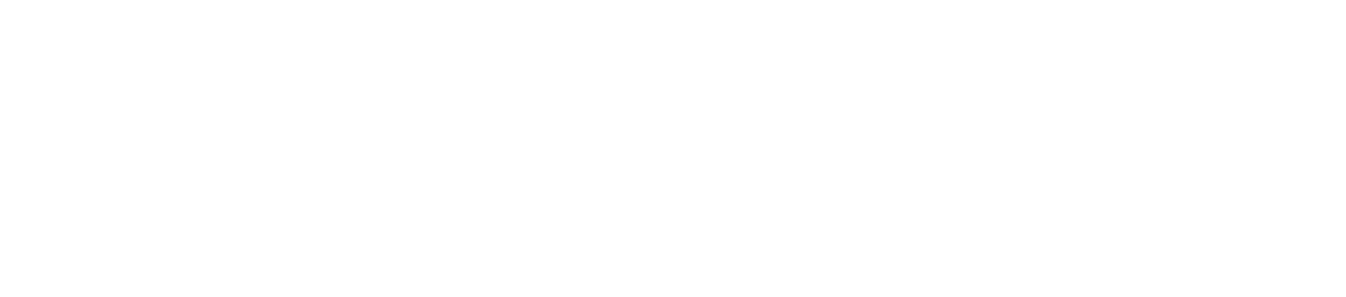 Wake Network Logo